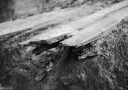 Filename=OP251235.jpg
Filesize=397KiB
Dimensions=1024x720
Date added=Jan 03, 2026 OP251235.jpg