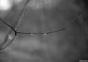Filename=OP251236.jpg
Filesize=286KiB
Dimensions=1024x720
Date added=Jan 03, 2026 OP251236.jpg