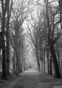 Filename=OP251238.jpg
Filesize=562KiB
Dimensions=720x1024
Date added=Jan 03, 2026 OP251238.jpg