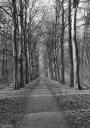 Filename=OP251240.jpg
Filesize=588KiB
Dimensions=720x1024
Date added=Jan 03, 2026 OP251240.jpg