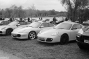 PU260501.jpg