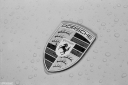 PU260507.jpg