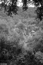 Filename=RS260613.jpg
Filesize=566KiB
Dimensions=681x1024
Date added=Jun 11, 2026 RS260613.jpg