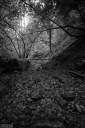 RS260620.jpg