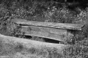 SN250707.jpg