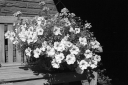 SN250712.jpg