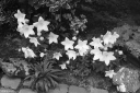SN250713.jpg