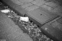 SS260301.jpg