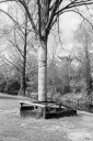 SS260304.jpg