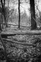 SS260406.jpg