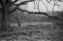 SS260408.jpg