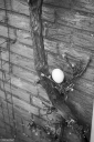 SS260410.jpg