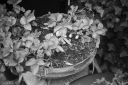 SS260411.jpg