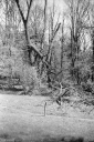 SS260415.jpg