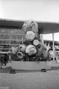 VV260108.jpg