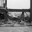 ZI260508.jpg
