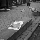 ZI260509.jpg